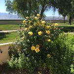 Profile Picture of Beverley Steele (@beverley.steele.549) on Instagram