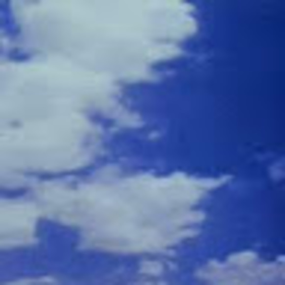 Profile Picture of Alex Waitkus (@alex_wait) on Poshmark