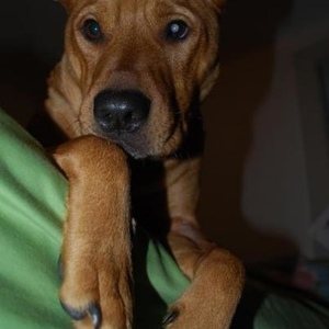 Profile Picture of Otis Hicks (@hicksotis) on Myspace