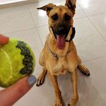 Profile Picture of Aaron Whitby (@admiralaaron) on Instagram