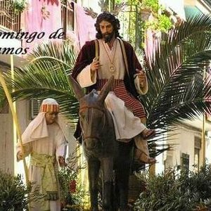 Profile Picture of Victor (@@cesar19567520) on Twitter