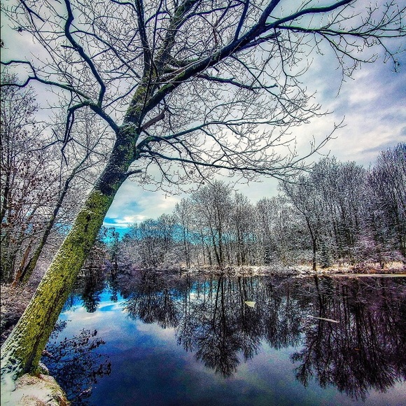 Profile Picture of Katherine Zandt (@katherinezandt) on Poshmark