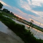 Profile Picture of Taps Bari (@Taps-Bari) on Facebook