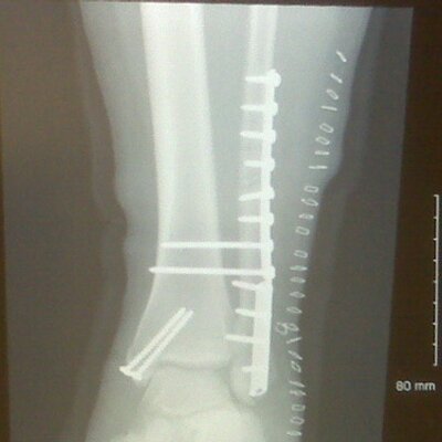 Profile Picture of Kim Stuhr (@Yankee_65) on Twitter