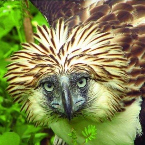 Profile Picture of Sara Mastros (@saramastros) on Poshmark