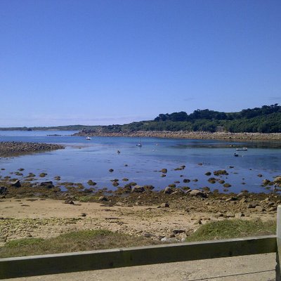 Profile Picture of Michael Knaggs (@MichaelKnaggs1) on Twitter