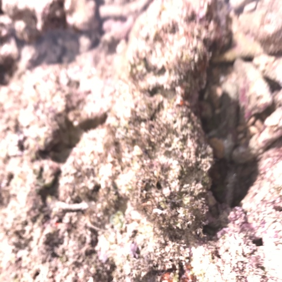 Profile Picture of Michale Barahas (@michaleb159) on Poshmark