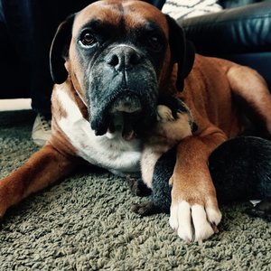 Profile Picture of Garett Ellingham (@grising) on Myspace