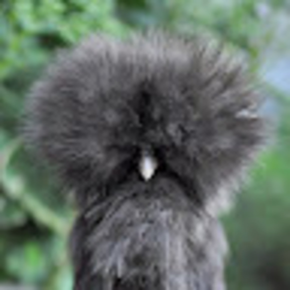 Lucas Brooks - Poshmark Profile Picture of Lucas Brooks (@lucasbrooks333) on Poshmark