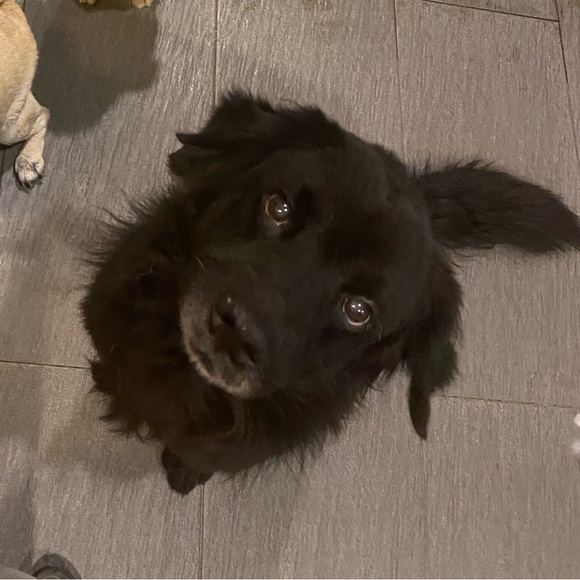 Profile Picture of Chan Lin (@chanchanoh) on Poshmark