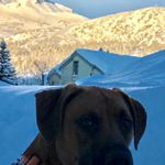 Profile Picture of Curtis Barton (@cbartonua) on Instagram