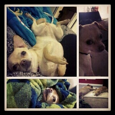 Kim Napier Lopes - Twitter Profile Picture of Kim Napier Lopes (@KNL927) on Twitter