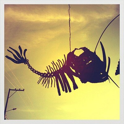 Profile Picture of Robert Clemons (@Robert91449Clem) on Twitter