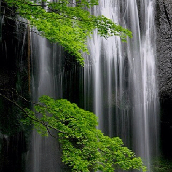 Profile Picture of Mitzi Jones (@casidajones) on Poshmark