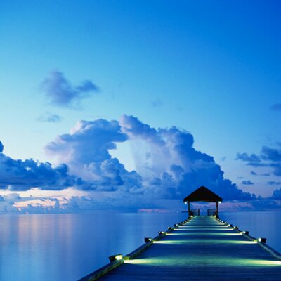 Profile Picture of Yolanda Bodden (@ybodden) on Twitter
