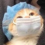 Profile Picture of aaron schoen (@aaron.schoen) on Instagram