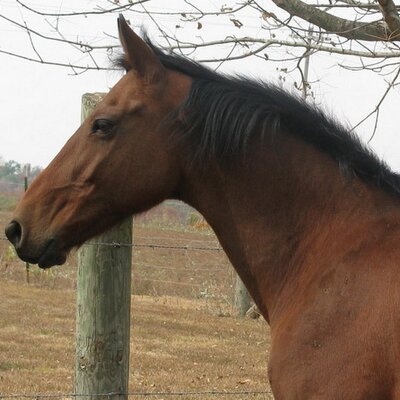 Profile Picture of Cindy Stone Cave (@CindyStoneCave) on Twitter