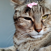 Profile Picture of Pia Rivas (@PiaBelen2012) on Youtube