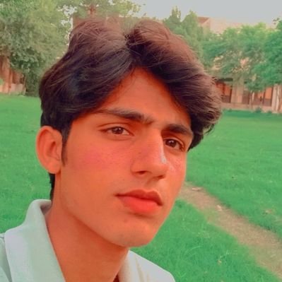 Profile Picture of وڈا آیا تو فلاسفر (@WenChangWang) on Twitter