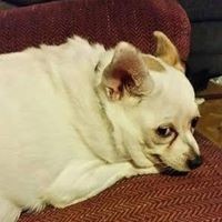 Profile Picture of Cassandra Good (@cassandra-good-2) on Quora