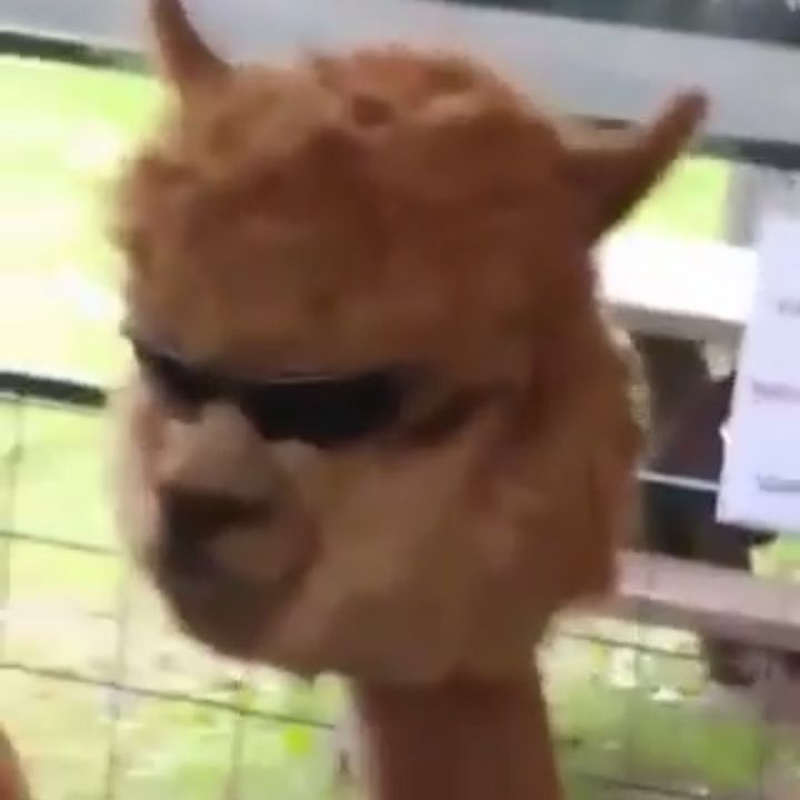 Profile Picture of Cole Graeff (@@colegraeff_) on Tiktok