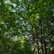 Profile Picture of Mohammad Zamani (@MohammadZamani-ky7yq) on Youtube