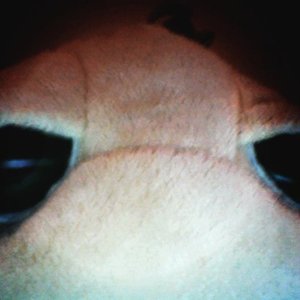 Profile Picture of Amare Stoudemire (@stoudemireamare) on Myspace