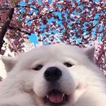 Profile Picture of David Machálek (@machnyd) on Instagram