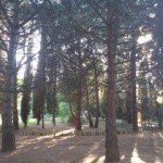 Profile Picture of Hardwick (@hardwickjonel) on Instagram