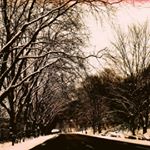 Profile Picture of Emmanuel Bradley (@ejbtabs4306) on Instagram