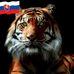 Profile Picture of Erik Tóth (@erik.toth.125) on Facebook