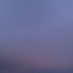 Profile Picture of Sonna Panurus (@panurus_) on Flickr