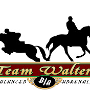 Profile Picture of Kathy Walters Eventing (@kathywalterseventing2832) on Youtube