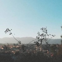 Profile Picture of Megan Lafferty (@megan-lafferty-5) on Quora