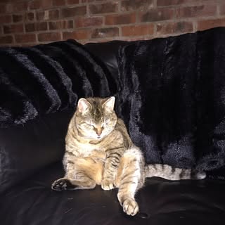 Profile Picture of Mark Fleckner (@markfleckner) on Instagram