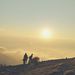 Profile Picture of Zirali (@zirrali) on Pinterest
