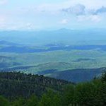 Profile Picture of Stephen Cipolla (@chipster8253) on Instagram