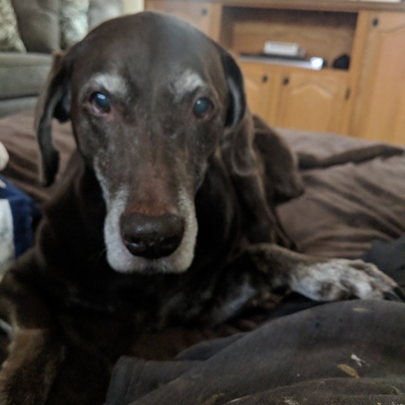 Profile Picture of Corey Smith (@russell1977) on Poshmark