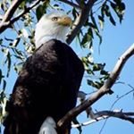 Profile Picture of Chuck Murphy (@chuck1m2009) on Instagram