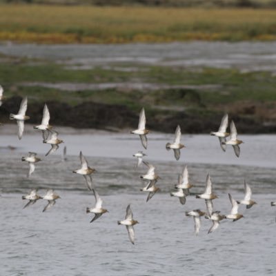 Profile Picture of Xavier Taylor (@xaviertaylor100) on Twitter