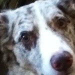 Profile Picture of Geoffrey Willems (@jeff24581) on Instagram