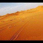 Tracie - Instagram Profile Picture of Tracie (@cullensa7) on Instagram