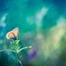 Profile Picture of Hetalben Patel (@hetalben.patel.948) on Facebook