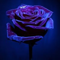Profile Picture of Mandy James (@mandy-james-50) on Quora