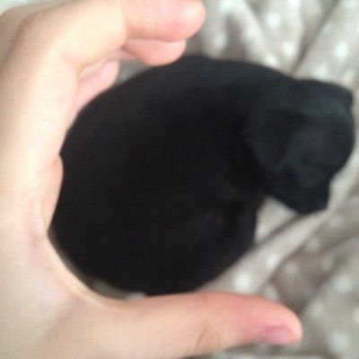 Profile Picture of Alice Todaro💖💖💖 (@todarina) on Tiktok