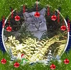 Profile Picture of Sabrina Cecelia Bogart (@sabrinatragob) on Facebook