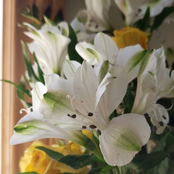 Profile Picture of Laurie Weseloh (@1helper4elder) on Poshmark