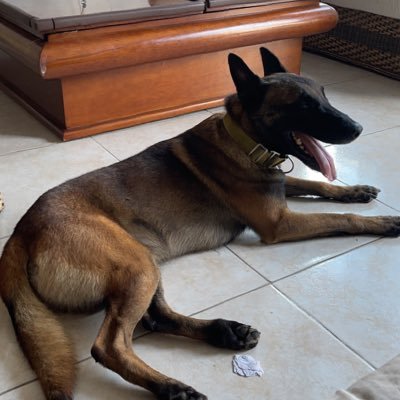 Profile Picture of FABIAN ULLOA BENITO (@FABIANULLOABEN2) on Twitter