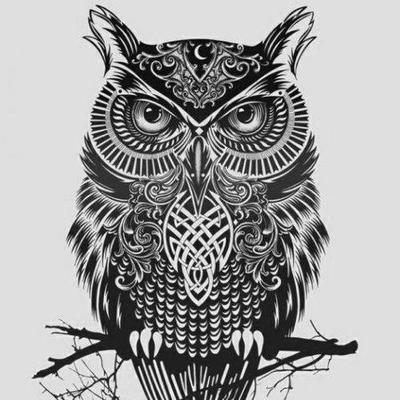 Profile Picture of Andrew Abboud (@andrew_abboud) on Twitter