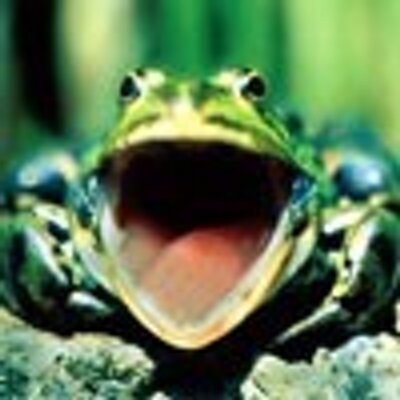 Profile Picture of Golda (@andrew_golda) on Twitter